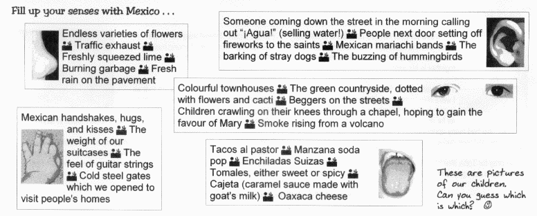 Newsletter insert
